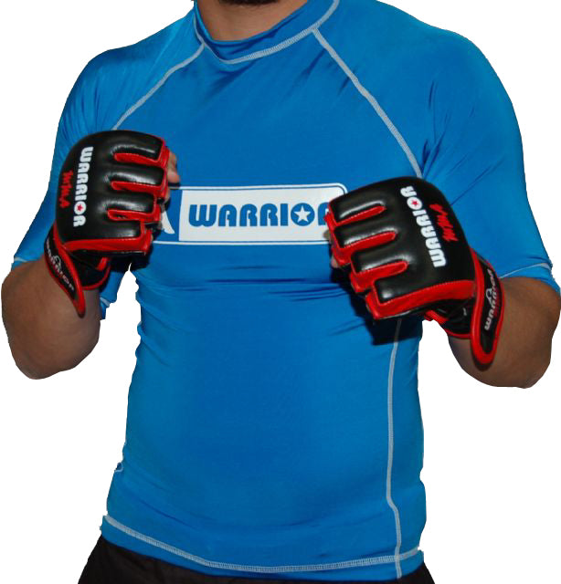 Short Sleeve Rash Guard BLUE