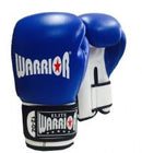Leather Elite Boxing Glove