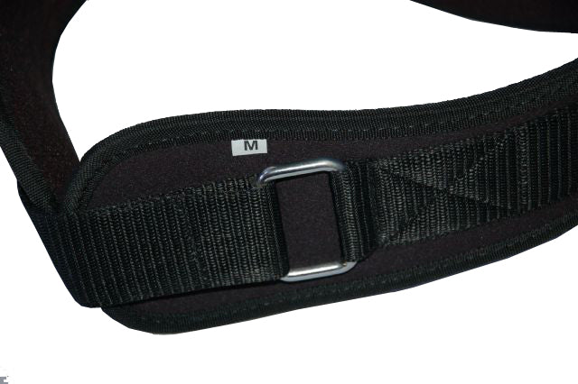 Weight Lifting Belt